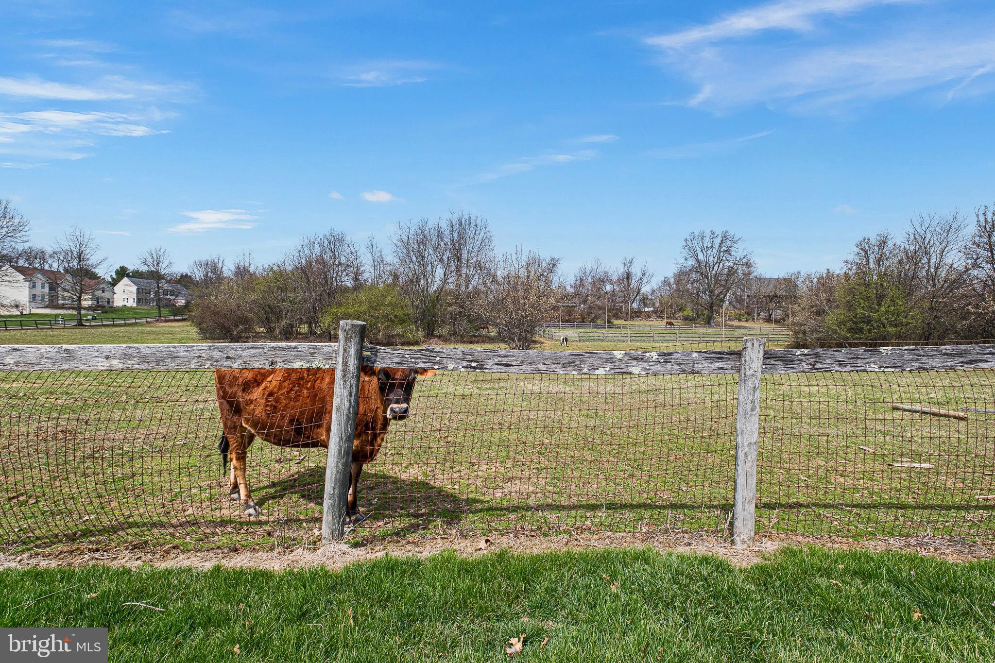 26 Woodside Farm Road Garnet Valley, PA 19060 - Photo 19 of 57 a view of a lake with a yard