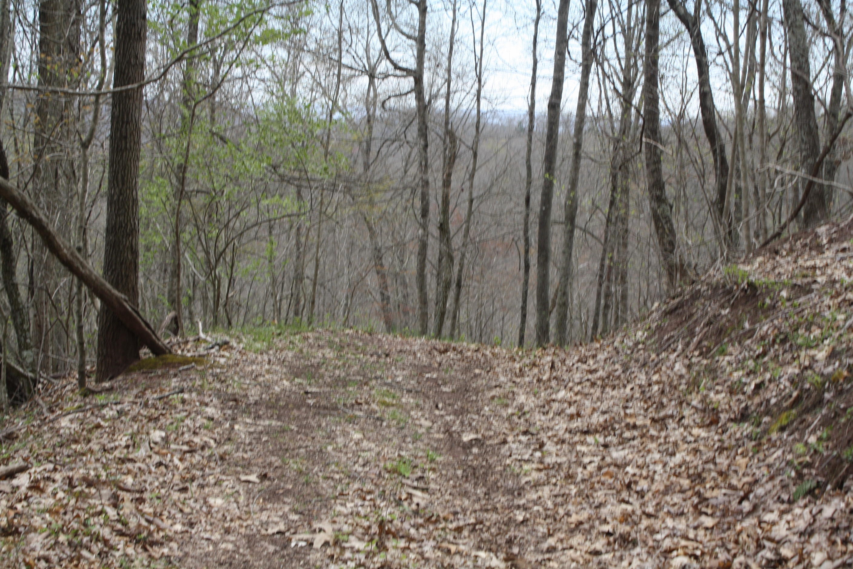 722 East Woodrumtown Road Hinton, WV 25951 - Photo 132 of 145 Gallery Image 132