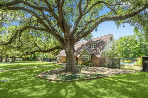 a view of a yard with a tree