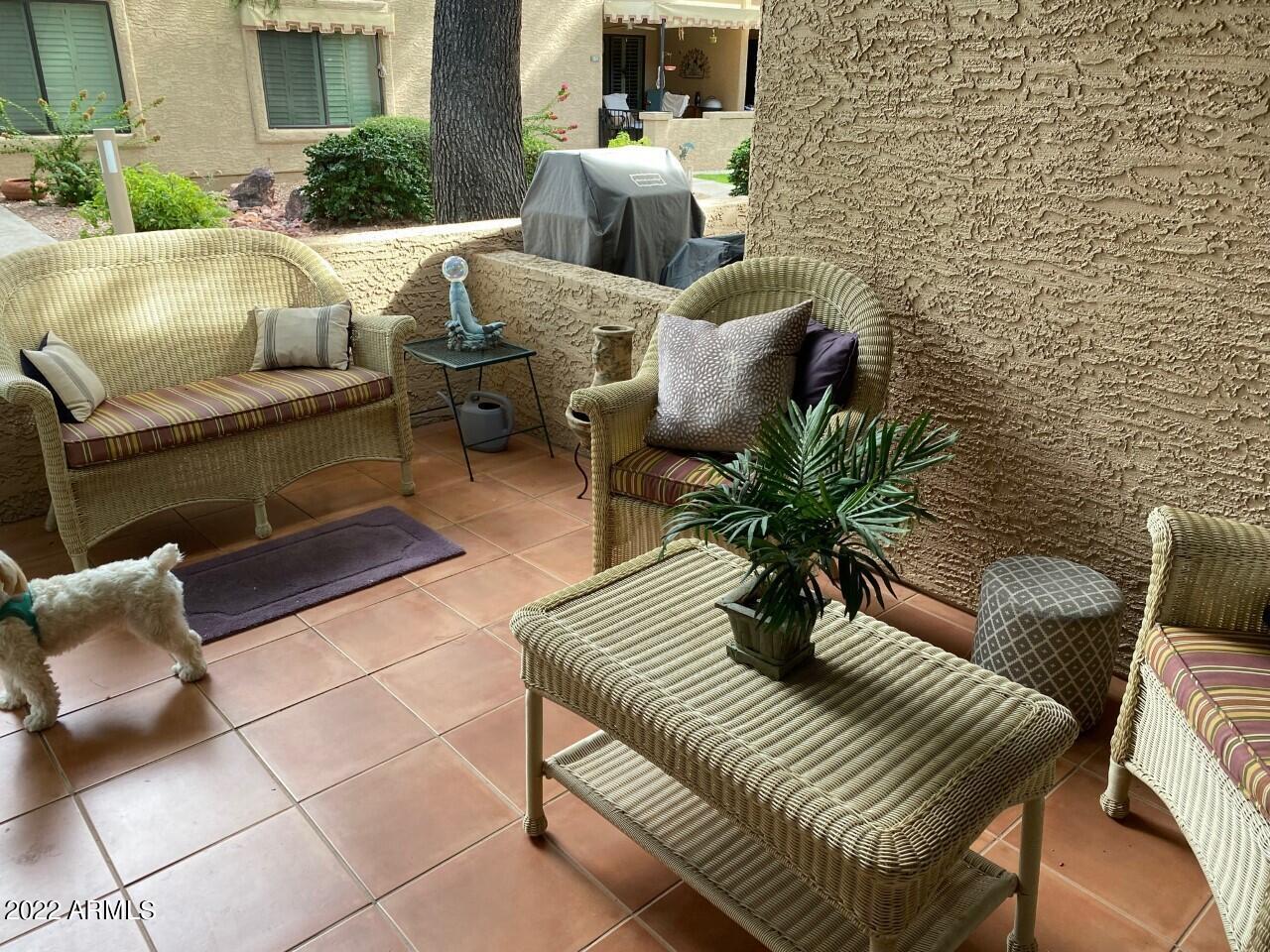 14300 West Bell Road, Unit 152 Surprise, AZ 85374 - Photo 12 of 21 Patio2