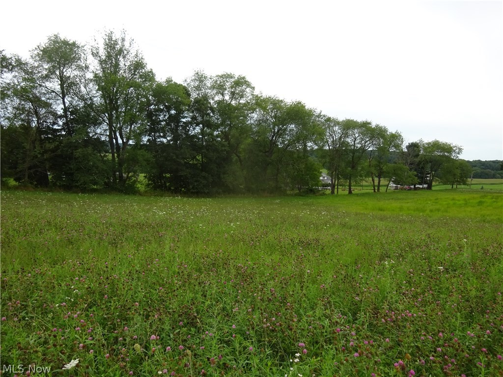 644 State Road Hanoverton, OH 44423 - Photo 17 of 22 Gallery Image 17