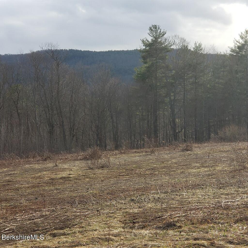 873 Windsor Road Cheshire, MA 01225 - Photo 1 of 2 Land