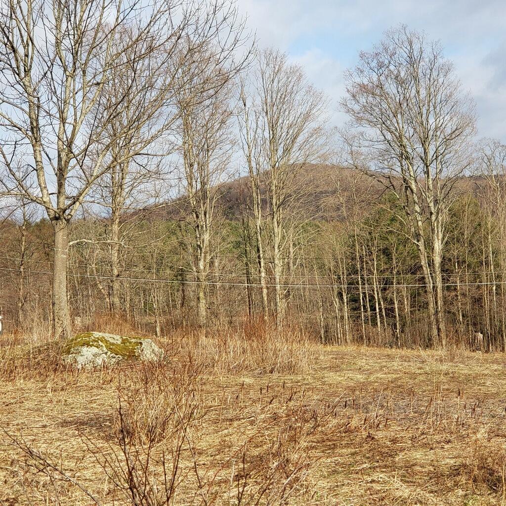873 Windsor Road Cheshire, MA 01225 - Photo 2 of 2 Land