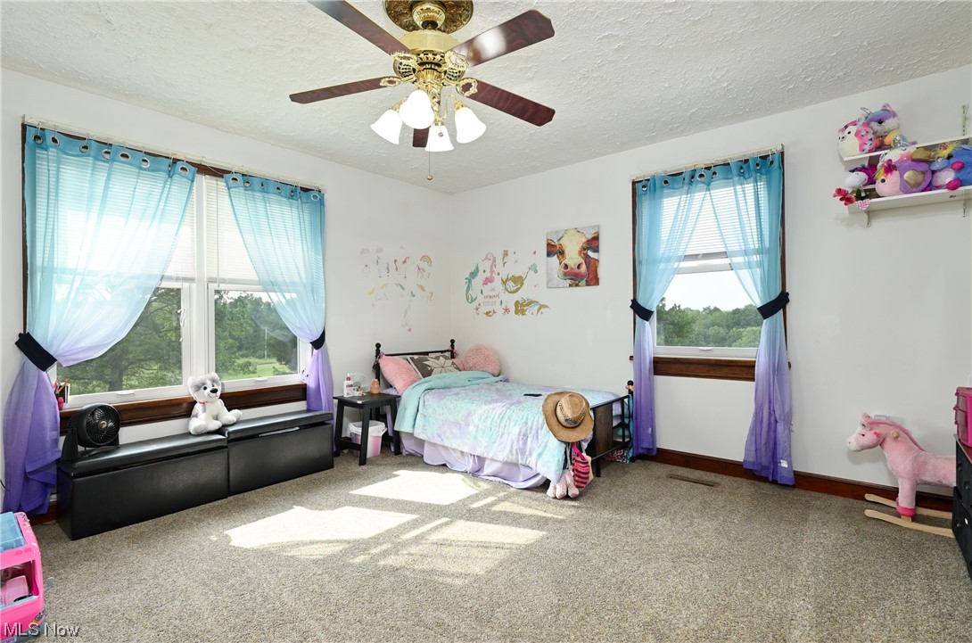 9196 Briar Road Magnolia, OH 44643 - Photo 11 of 30 Main Floor Bedroom 2