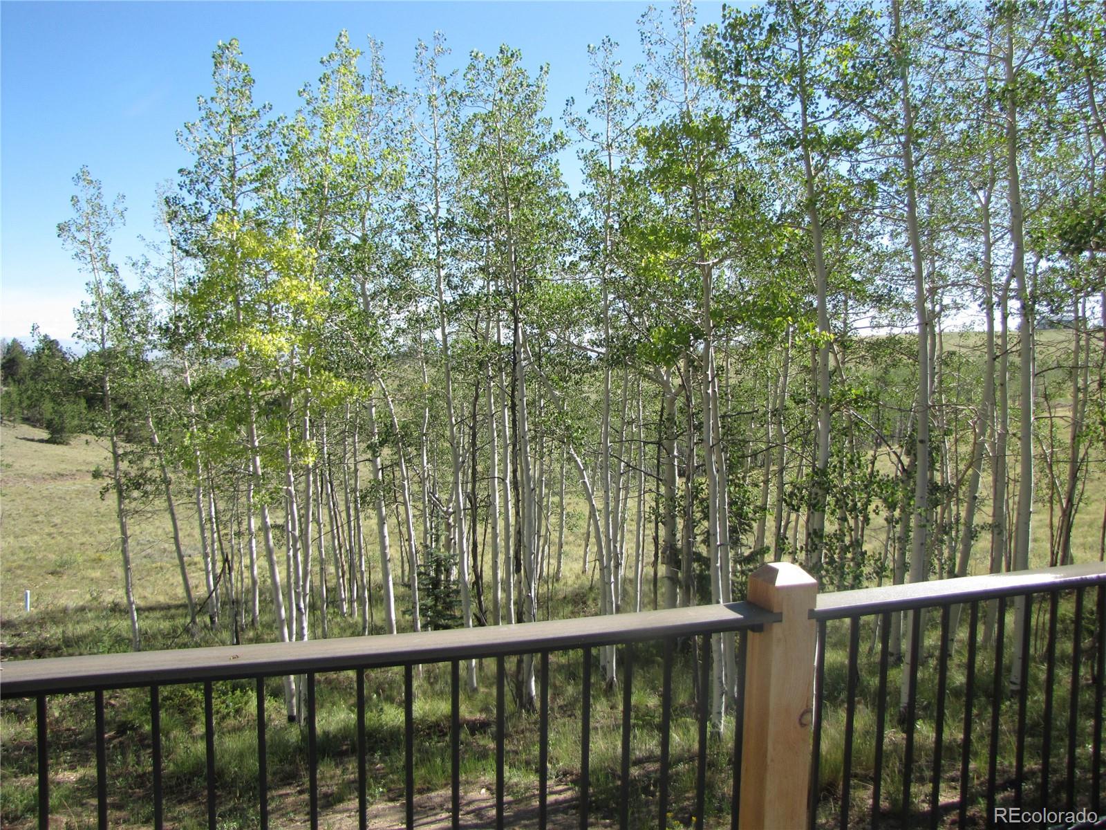 8575 Ranch Road Hartsel, CO 80449 - Photo 10 of 37 Gallery Image 10