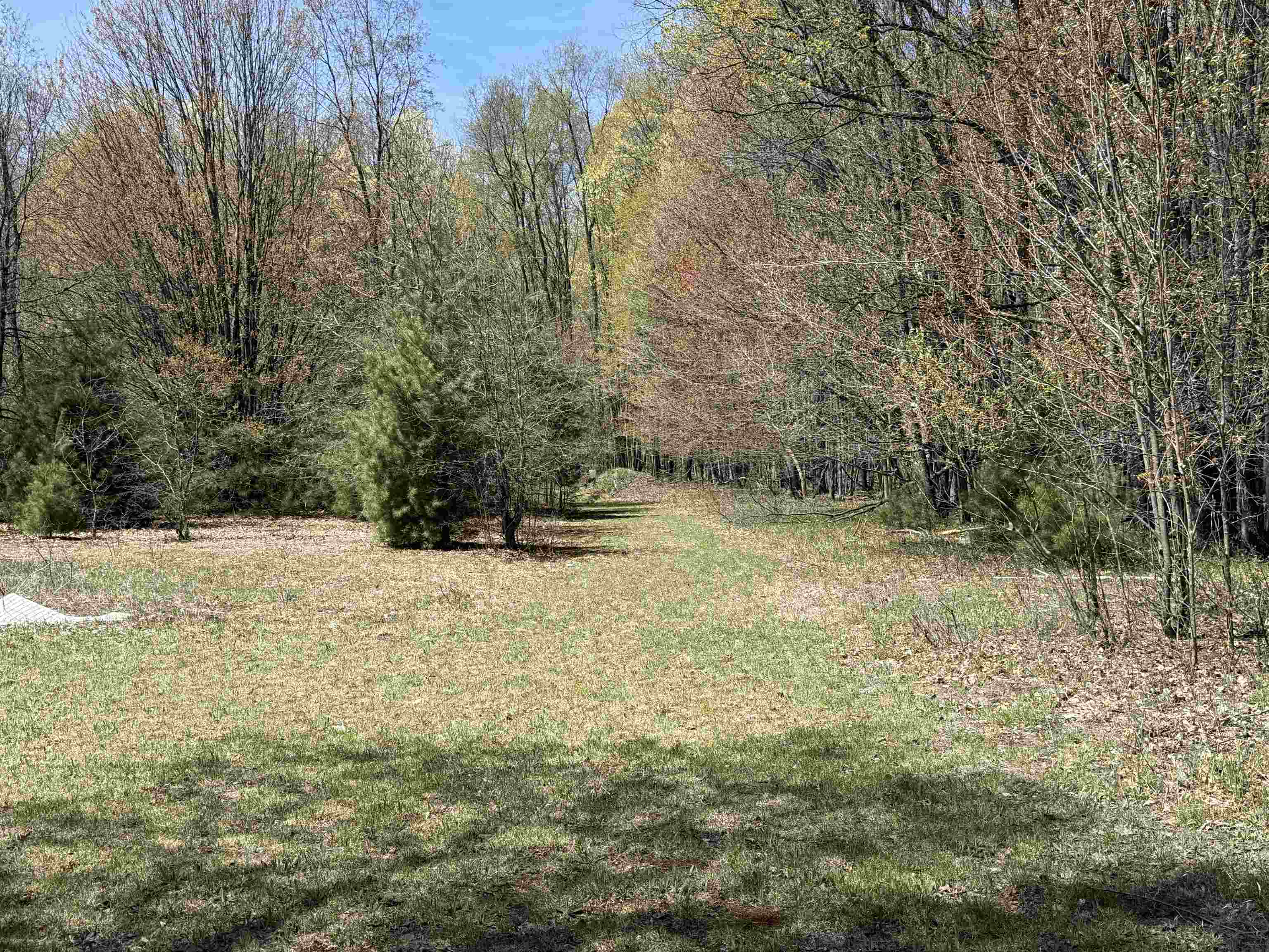 7274 South Forward Road McBain, MI 49657 - Photo 56 of 76