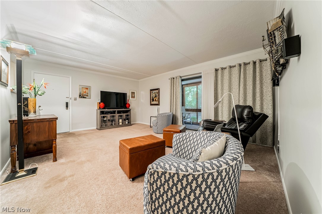 22958 Maple Ridge Road, Unit 102 North Olmsted, OH 44070 - Photo 4 of 29