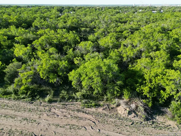 a view of a large yard with lots of bushes