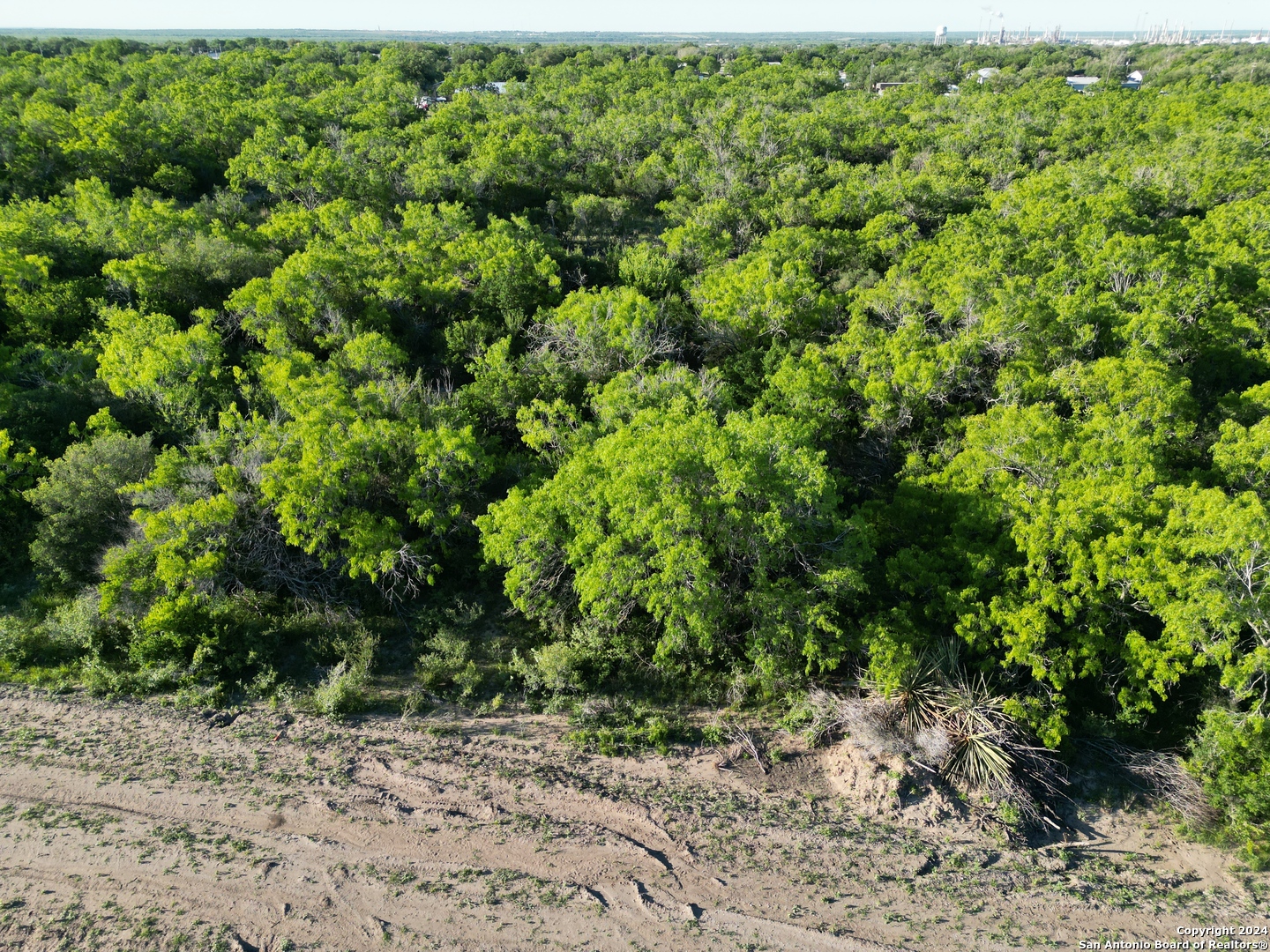 730 Cr 200 Three Rivers, TX 78071 - Photo 5 of 6