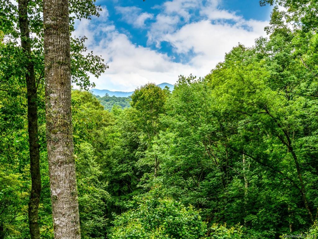 132 Hickory Forest Road Fairview, NC 28730 - Photo 33 of 35 Gallery Image 33