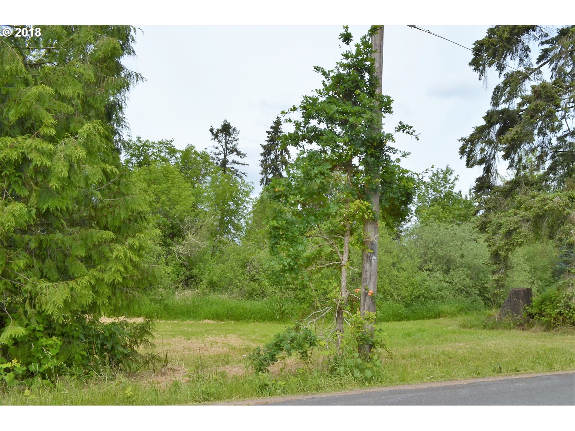 912 Northeast 194th Street Ridgefield, WA 98642 - Photo 28 of 29 a view of a field with a tree in the background