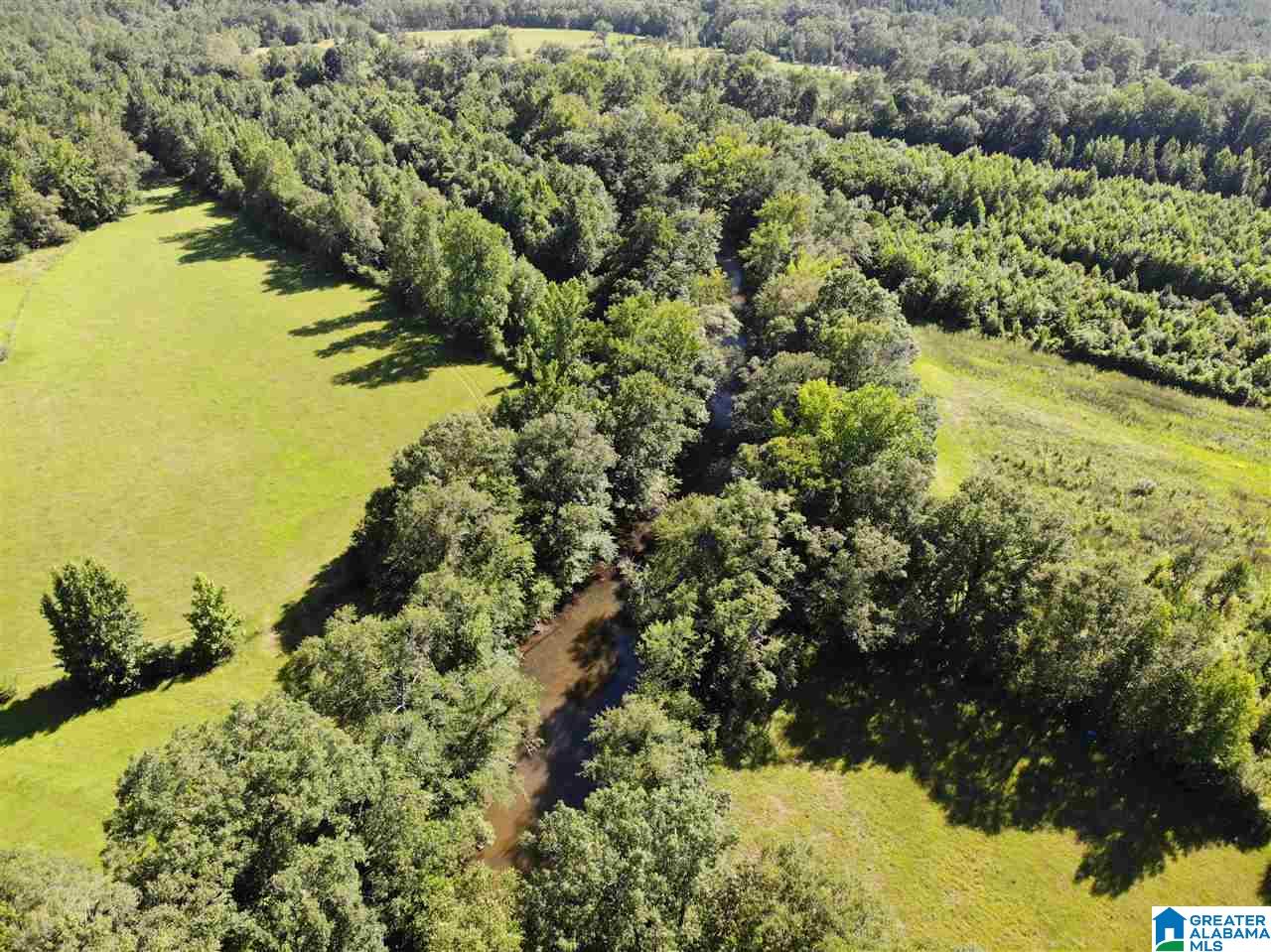 0 Antler Loop Rockford, AL 35136 - Photo 8 of 12