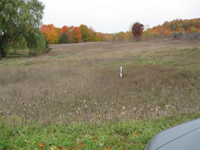1 Chief Road Bear Lake, MI 49614 - Photo 1 of 7 Primary Photo