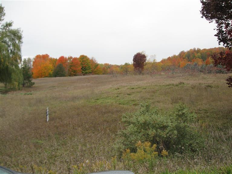 1 Chief Road Bear Lake, MI 49614 - Photo 2 of 7 Additional Photo