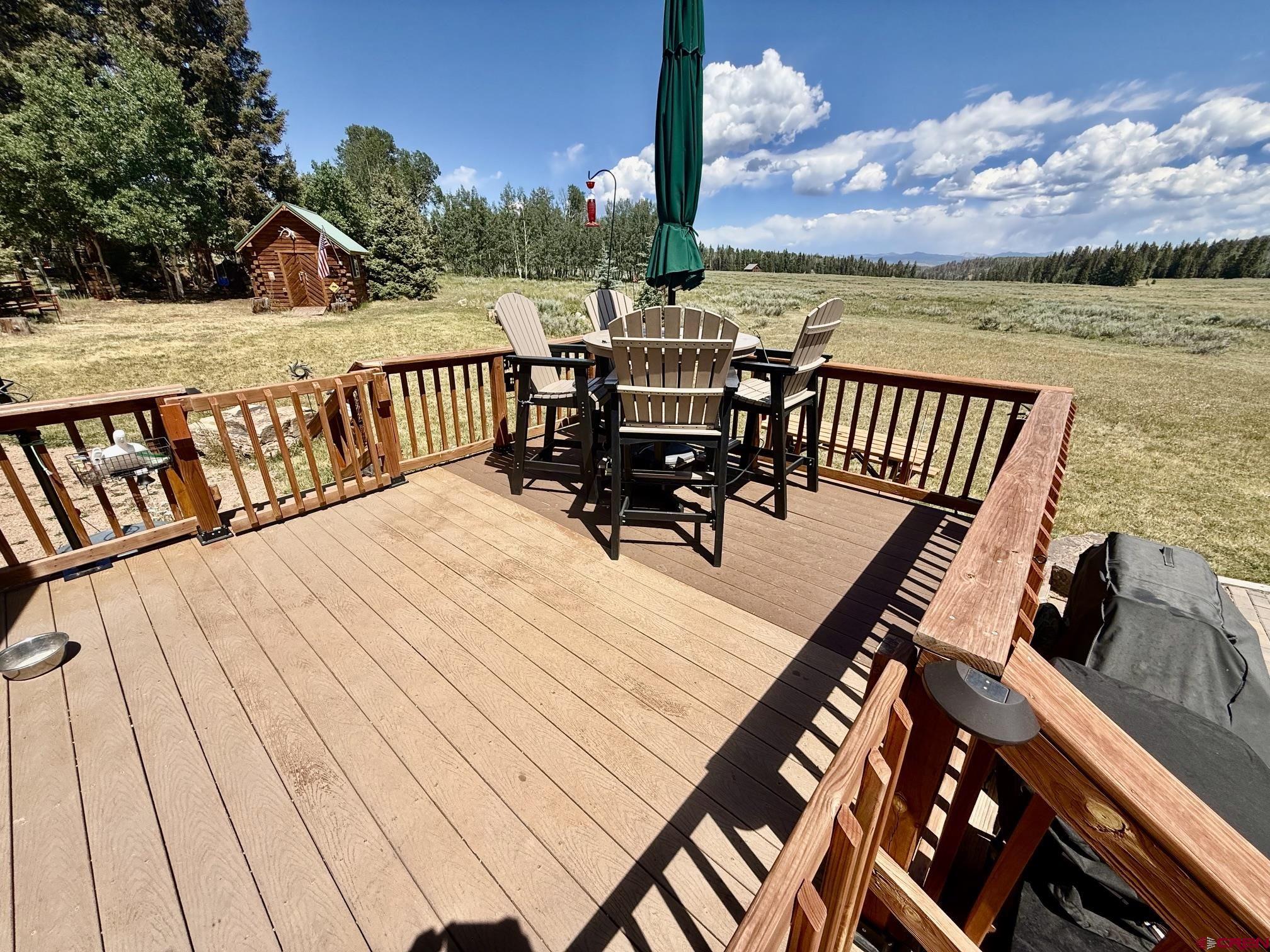 2221 Spruce Road Cimarron, CO 81220 - Photo 7 of 21