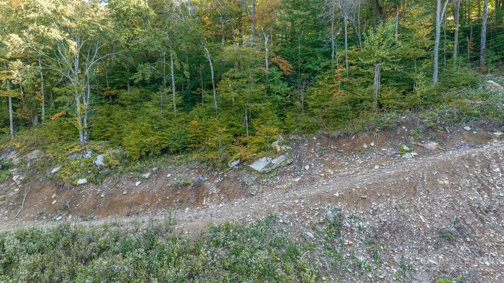 77 Red Robin Road Banner Elk, NC 28604 - Photo 20 of 29 Gallery Image 20