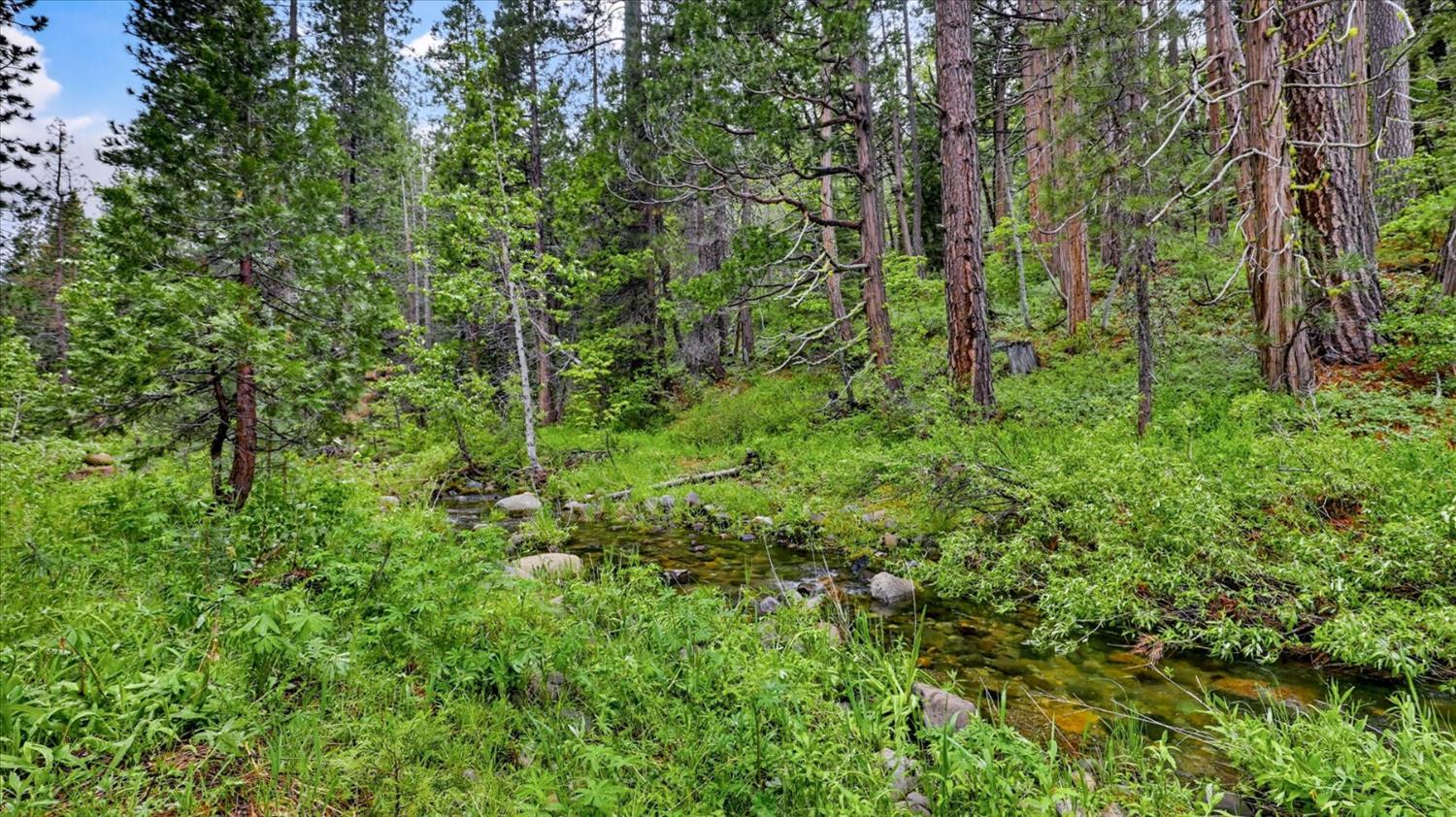 0 Texas Hill Road Emigrant Gap, CA 95715 - Photo 6 of 24