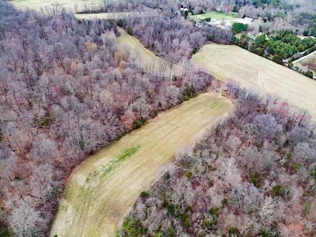 2 Yount Road Marysville, IN 47141 - Photo 4 of 16 Gallery Image 4