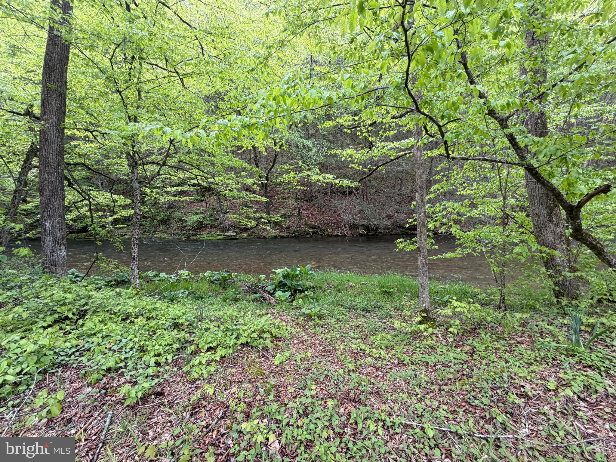 1227 Cross Fork Creek Road Cross Fork, PA 17729 - Photo 70 of 139