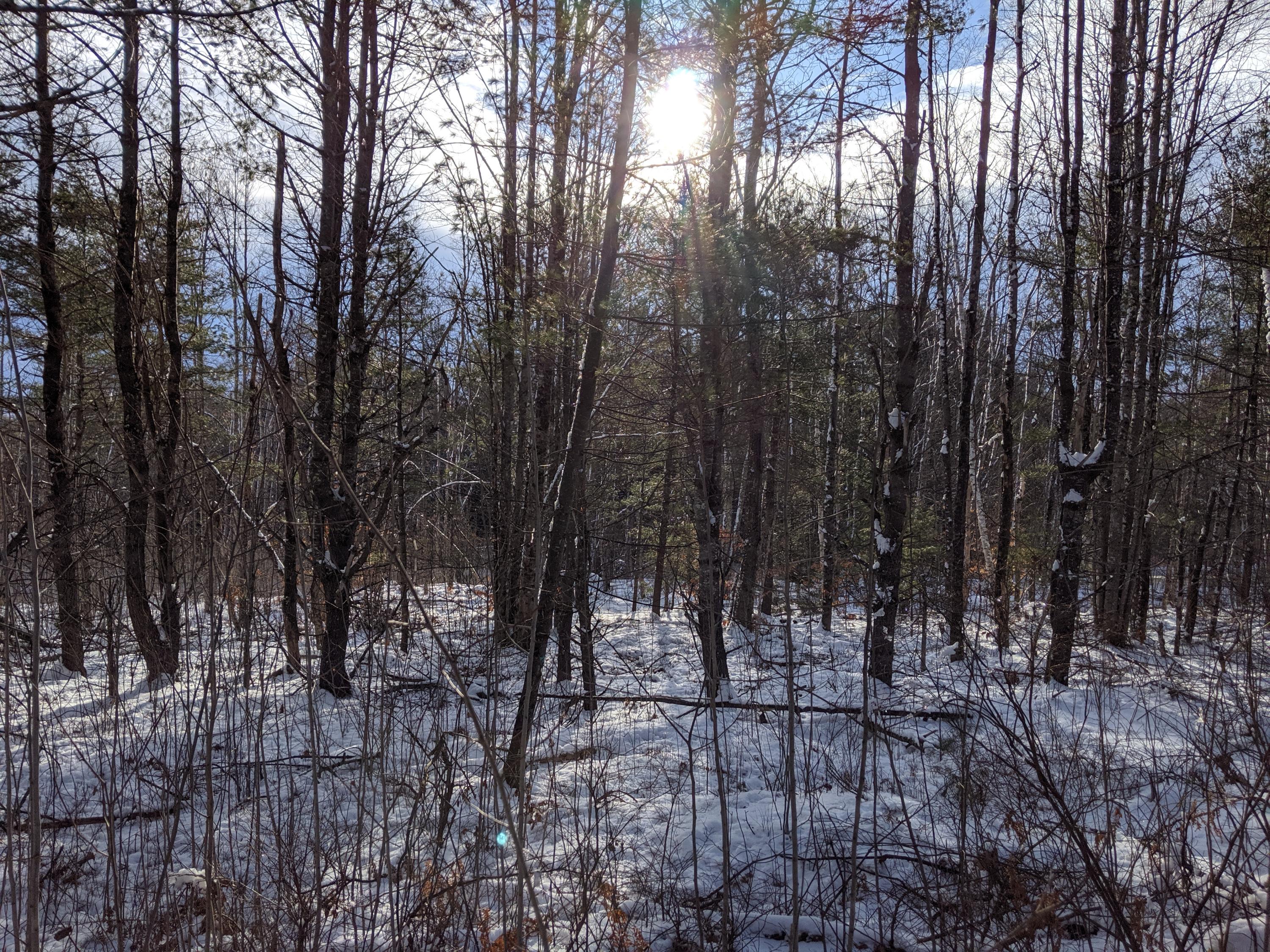 Lot 2 Calderwood Road Washington, ME 04574 - Photo 8 of 12 IMG_20200102_094406
