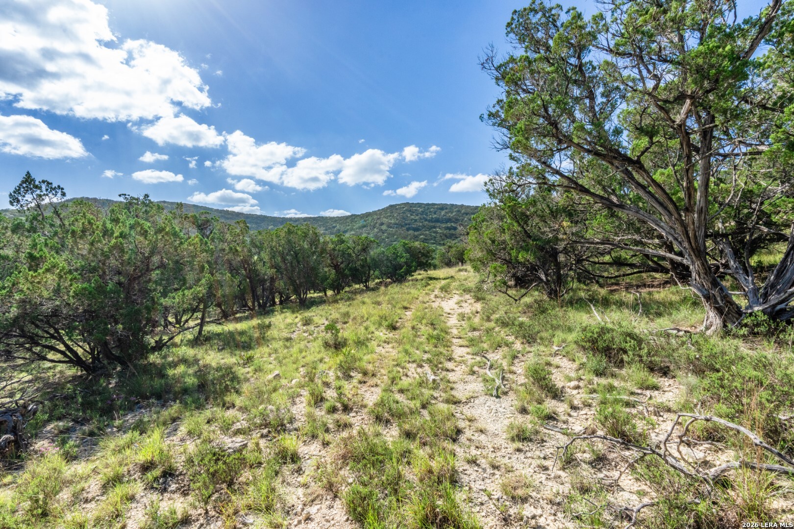 650 Evans Creek Road Vanderpool, TX 78885 - Photo 15 of 28