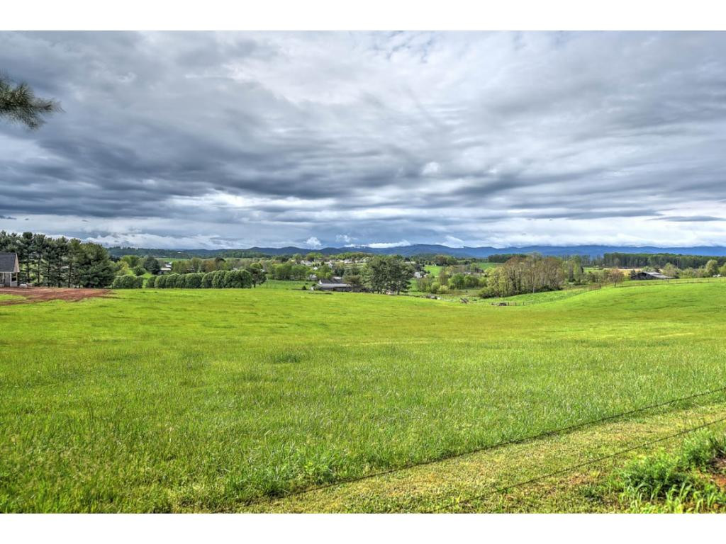276 Berry Ridge Road Jonesborough, TN 37659 - Photo 36 of 36 Photo 36