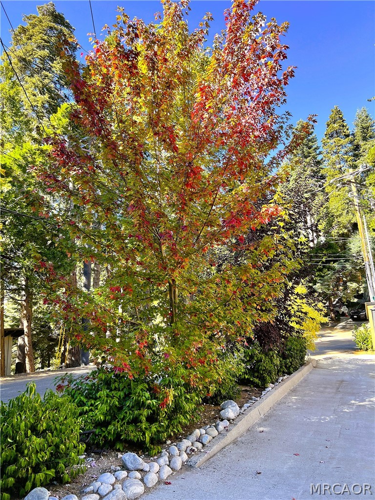 863 Oak Road Lake Arrowhead, CA 92385 - Photo 23 of 27 Gallery Image 23