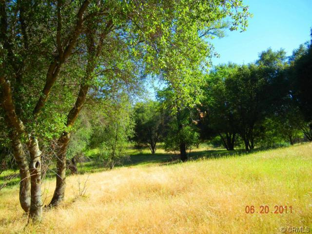 3949 Trishs Moon Road Mariposa, CA 95338 - Photo 29 of 33 Gallery Image 29