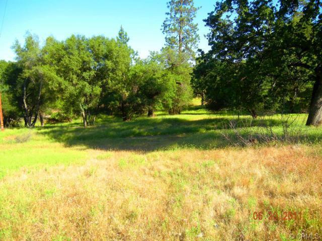 3949 Trishs Moon Road Mariposa, CA 95338 - Photo 30 of 33 Gallery Image 30