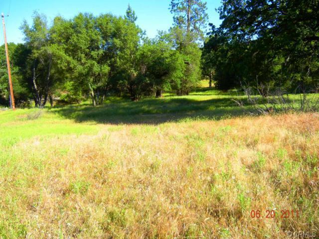 3949 Trishs Moon Road Mariposa, CA 95338 - Photo 31 of 33 Gallery Image 31