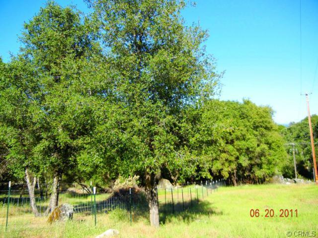 3949 Trishs Moon Road Mariposa, CA 95338 - Photo 32 of 33 Gallery Image 32