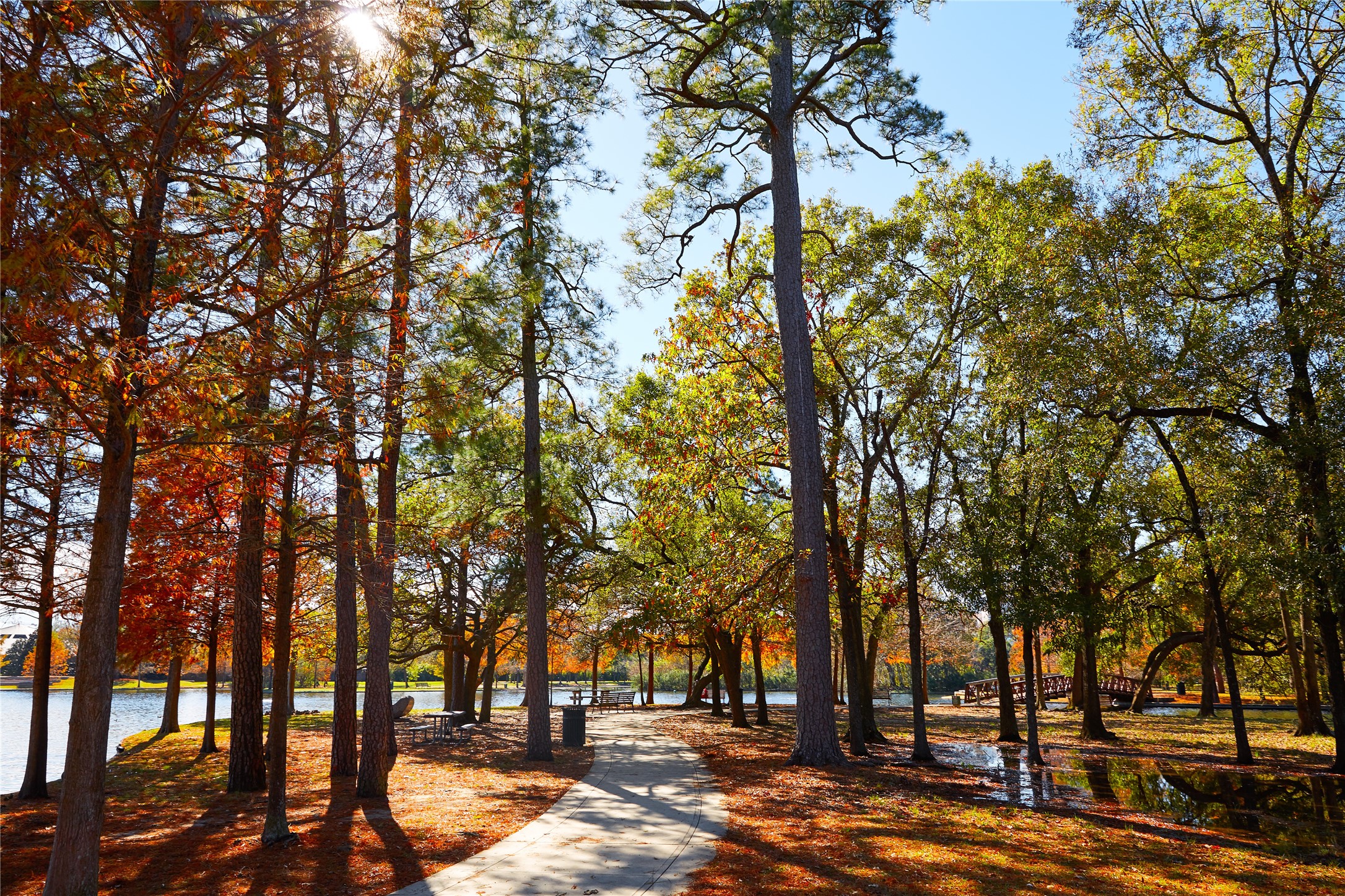 3514 A Seabrook Street Houston, TX 77021 - Photo 12 of 13 a view of road with trees