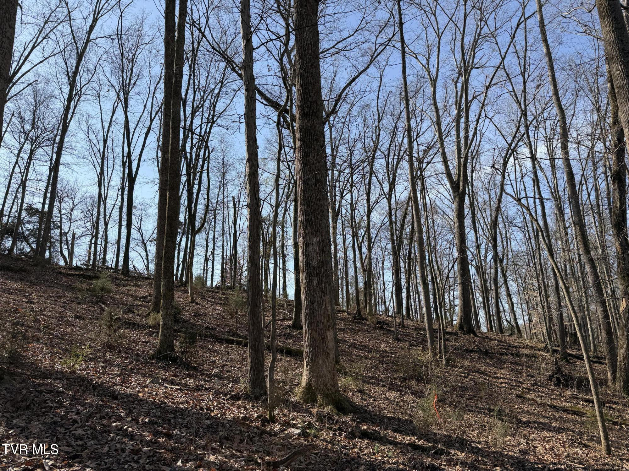 1578 Hunting Hill Road Bluff City, TN 37618 - Photo 11 of 20 IMG_5740