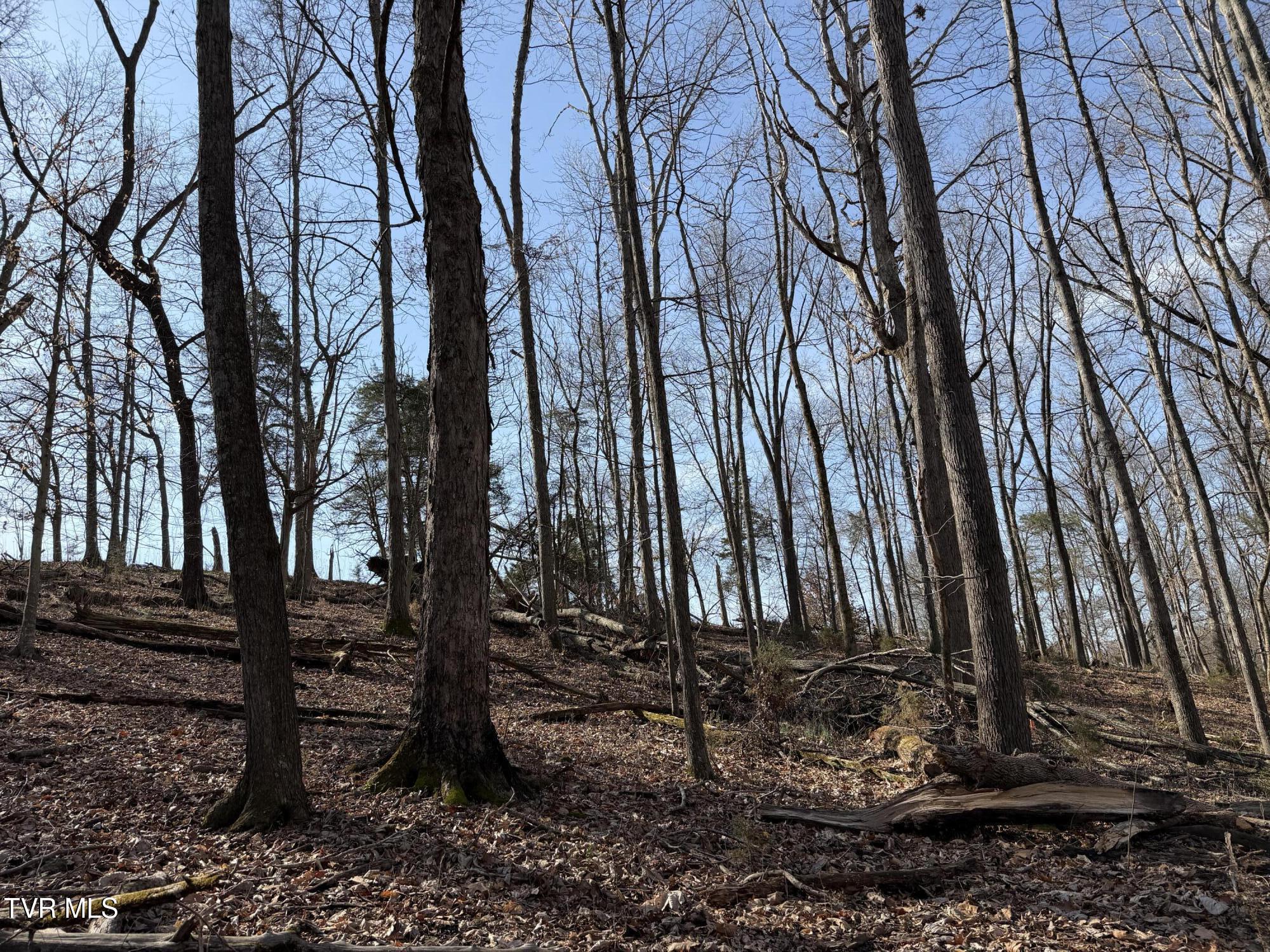 1578 Hunting Hill Road Bluff City, TN 37618 - Photo 12 of 20 IMG_5739