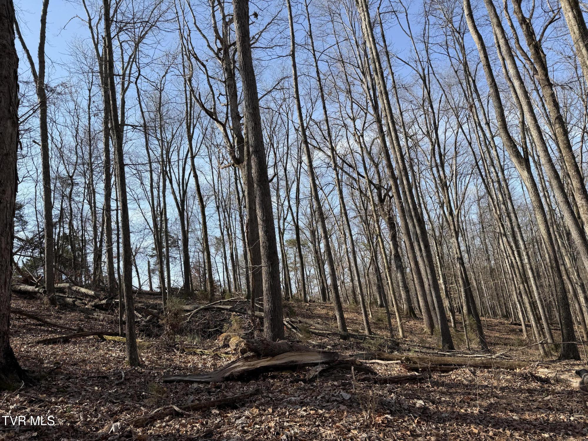 1578 Hunting Hill Road Bluff City, TN 37618 - Photo 13 of 20 IMG_5738