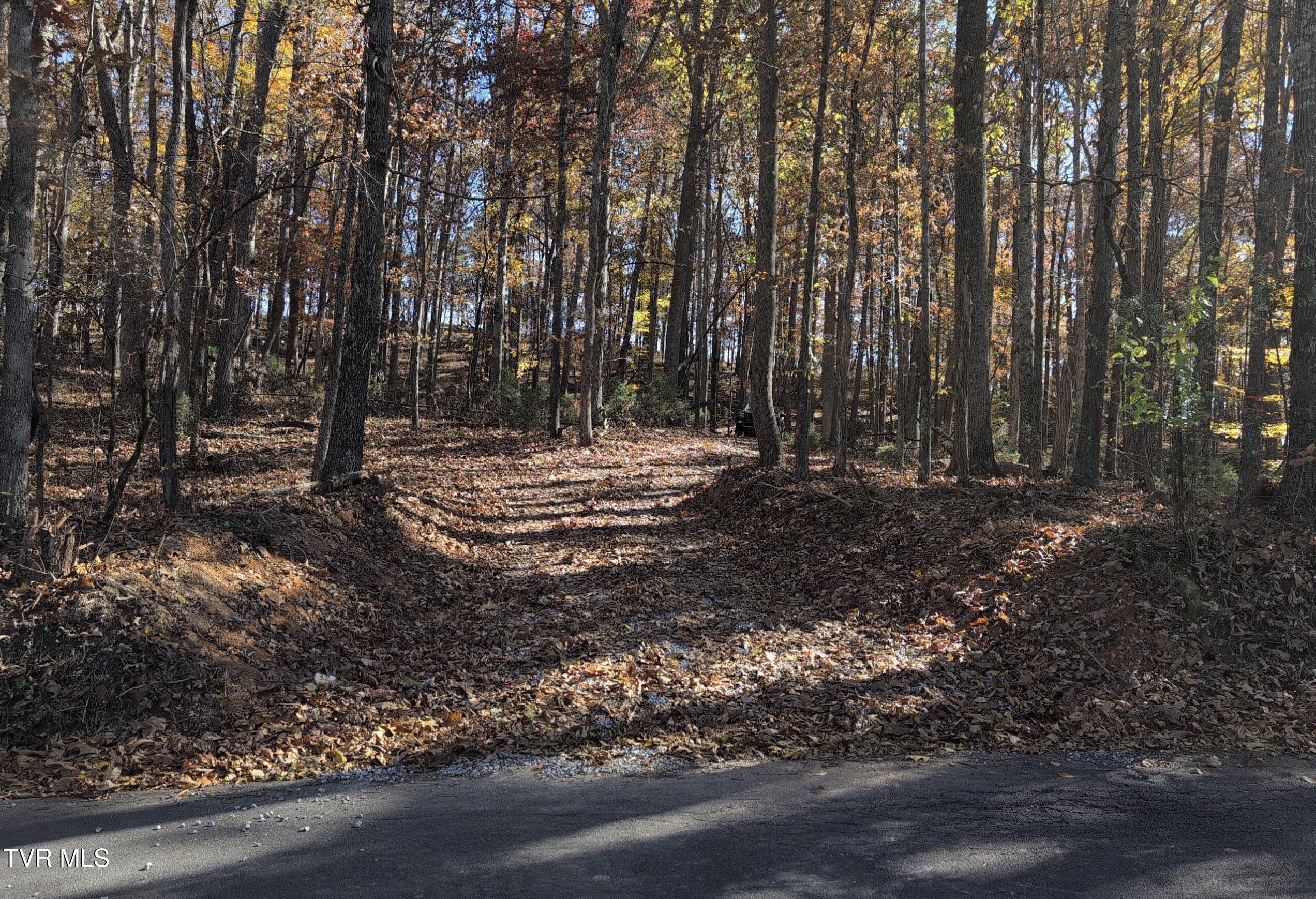 1578 Hunting Hill Road Bluff City, TN 37618 - Photo 8 of 20 IMG_0567