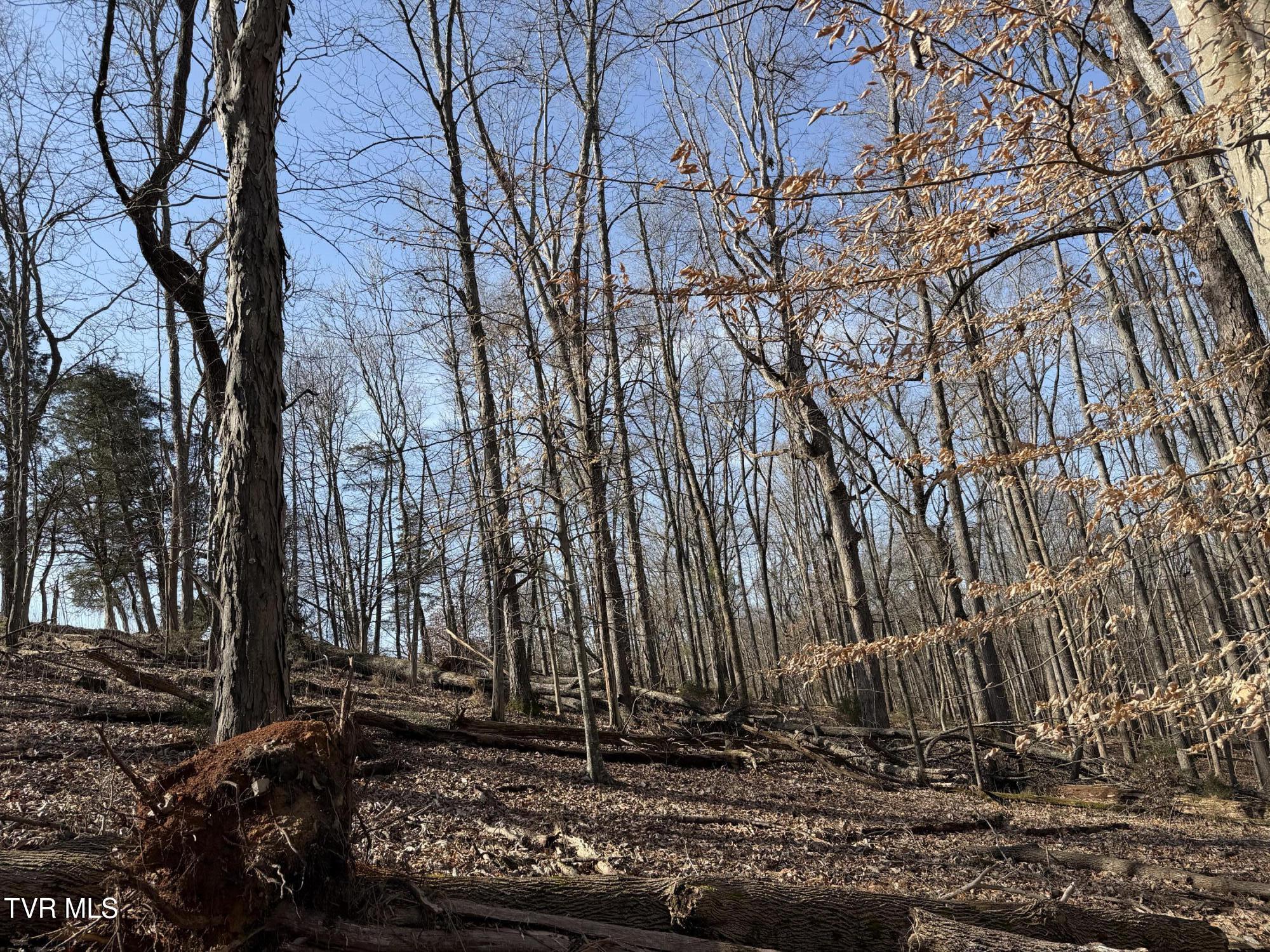 1578 Hunting Hill Road Bluff City, TN 37618 - Photo 10 of 20 IMG_5737