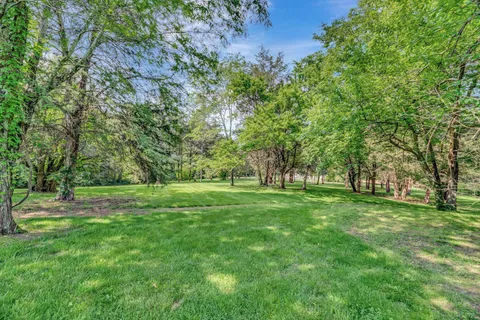 a view of a grassy field with trees