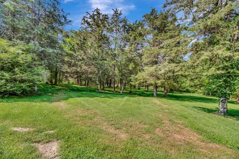a view of a field with trees in the background