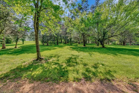 a view of a grassy field with trees