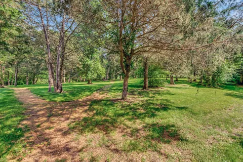 a view of a park with large trees