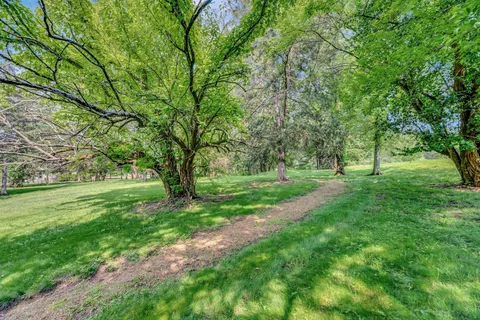 a view of green field with trees