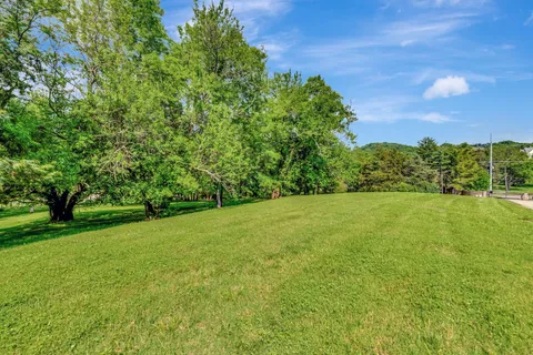 a view of a yard with a tree