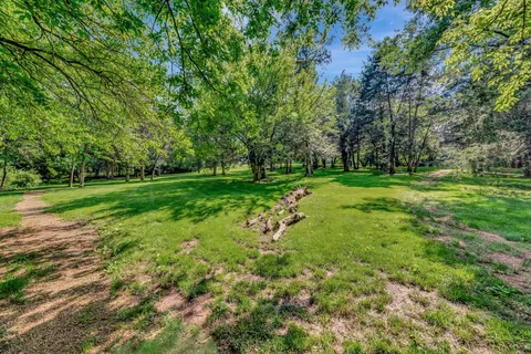 a view of a big yard with plants and large trees
