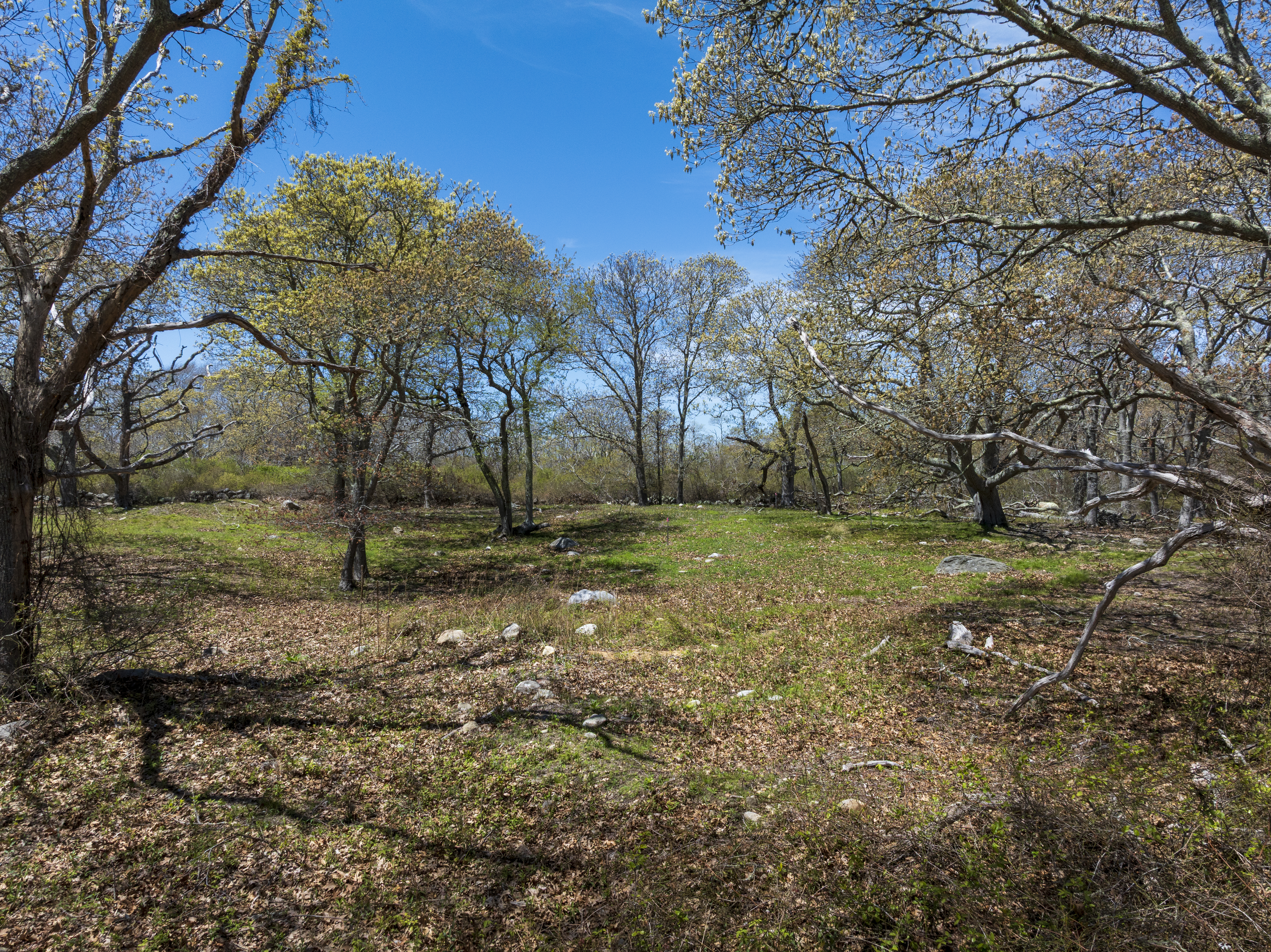 14 Ridge Road Aquinnah, MA 02535 - Photo 5 of 15 a view of backyard with green space