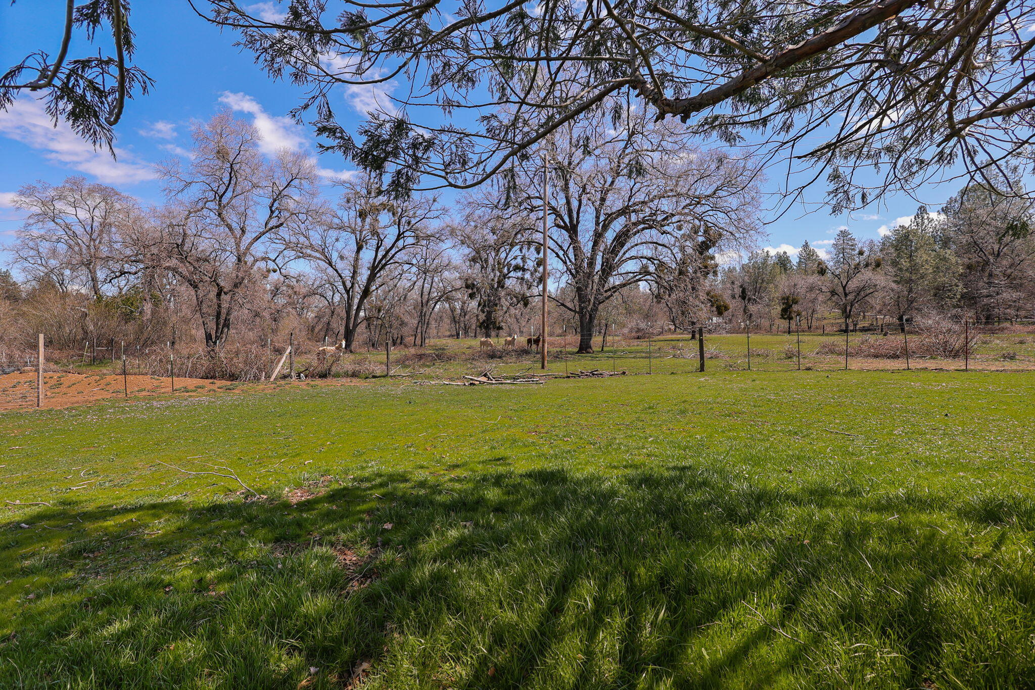 29376 Inwood Road Shingletown, CA 96088 - Photo 19 of 41 Beautiful Acreage
