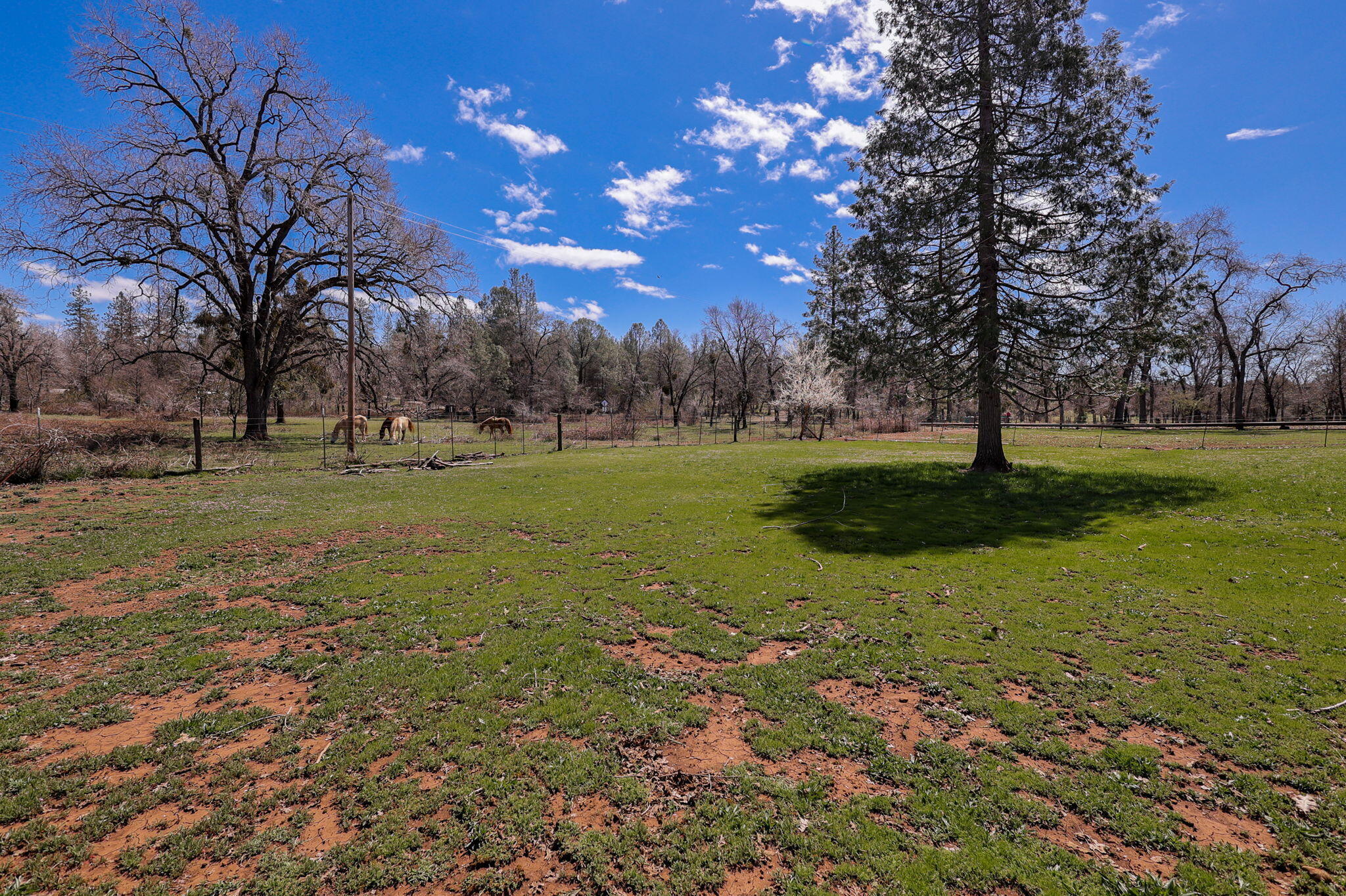 29376 Inwood Road Shingletown, CA 96088 - Photo 20 of 41 Horse Property