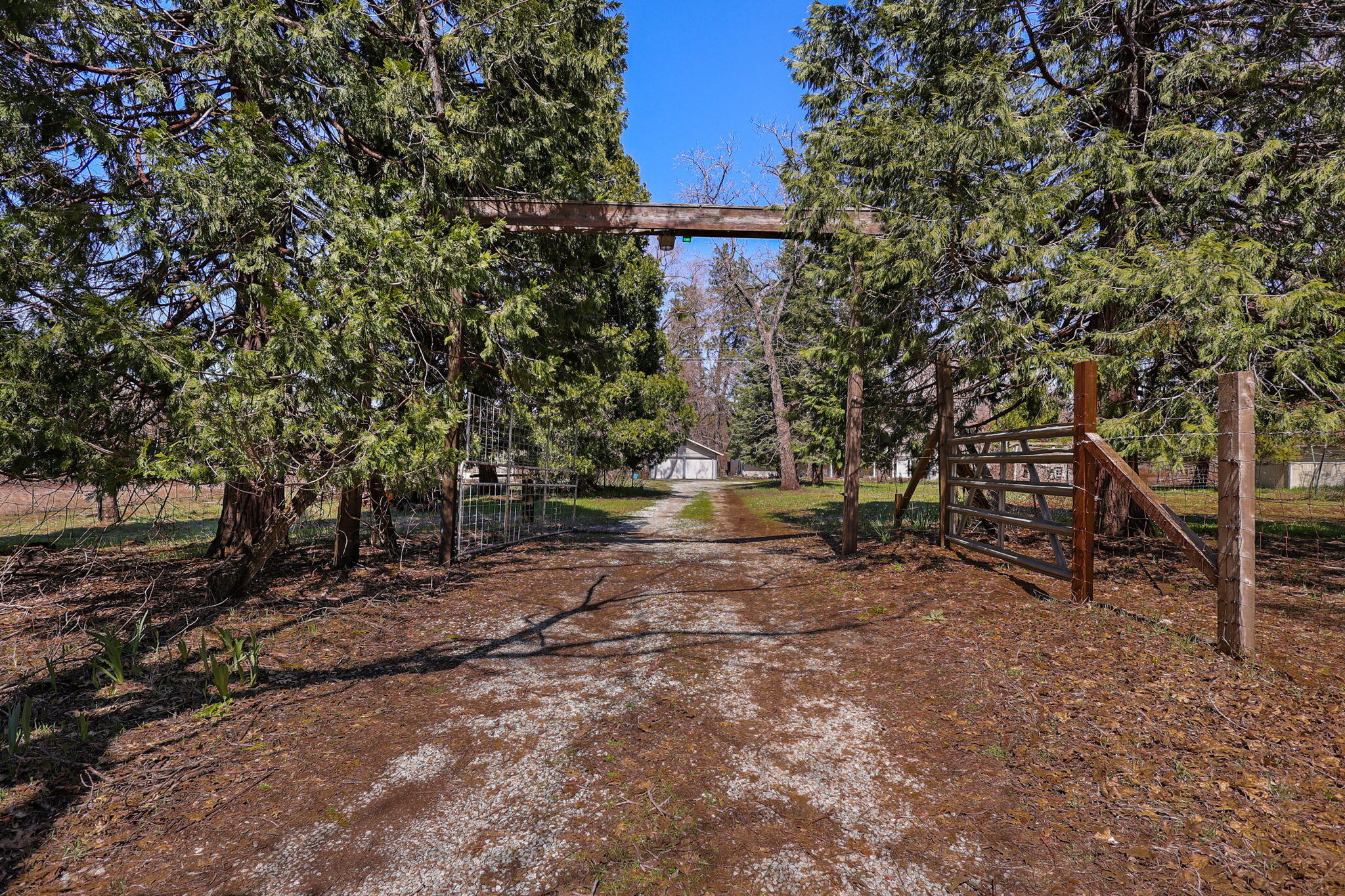 29376 Inwood Road Shingletown, CA 96088 - Photo 33 of 41 Private Driveway
