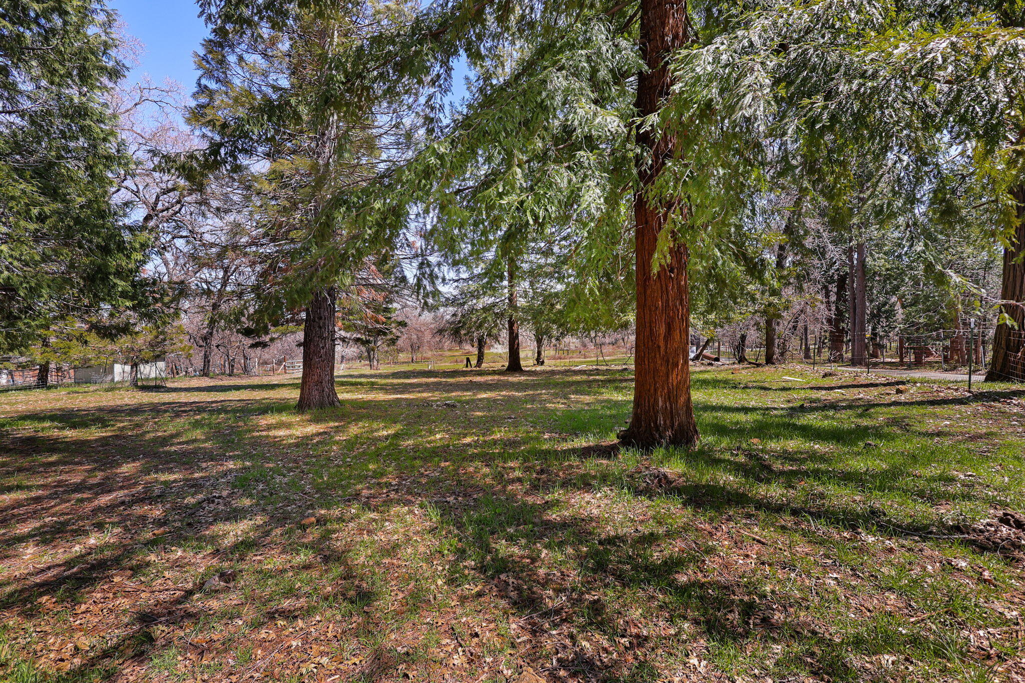 29376 Inwood Road Shingletown, CA 96088 - Photo 35 of 41 Lots of Privacy