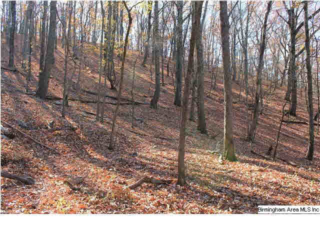 0 Lynn Road, Unit 38 ACRES Anniston, AL 36207 - Photo 7 of 9 Gallery Image 7
